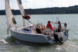 Delphia 26