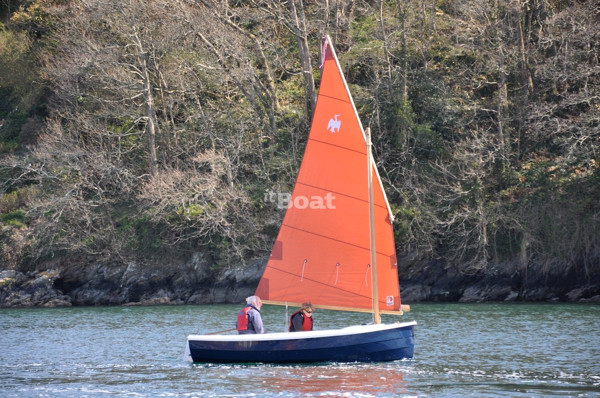 Cornish Crabbers Cormorat 12