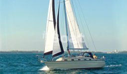 Island Packet Yachts IP370