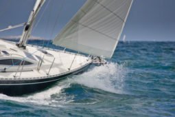Delphia 37.3