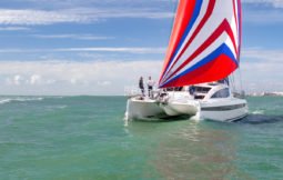 Privilege Signature 510