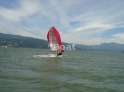 Laser Performance 49er