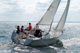 Delphia 28