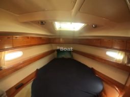 Eleva Yachts The Forty Two