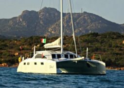 Arrow 1360