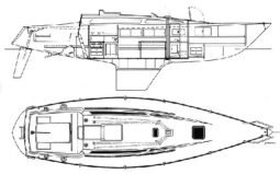 Abbott 36