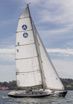 Alerion Sport 30