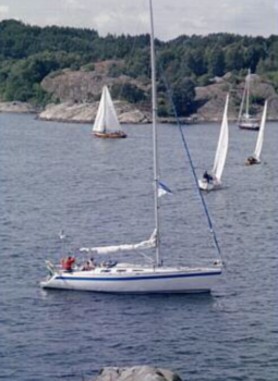 Comfortina 39 Mk1