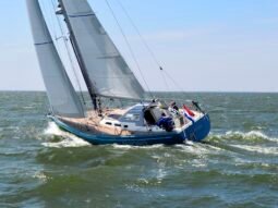 Breehorn 41