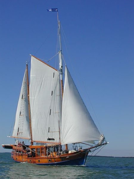 Mayflower 40