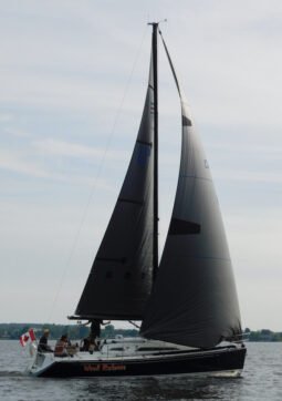 C&C 99