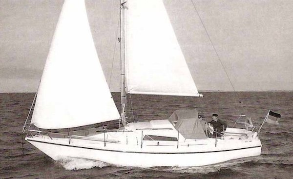 Neptun 31