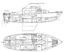 Condor 7