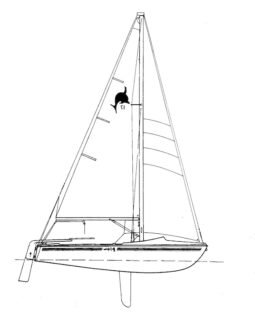 Dolphin 17