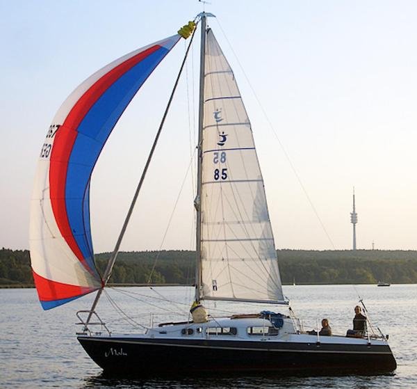 Neptun 29