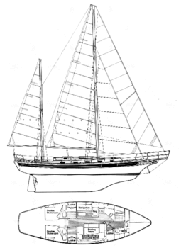 Bayfield 40