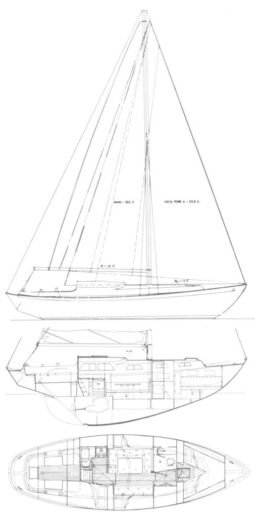 Acapulco 40
