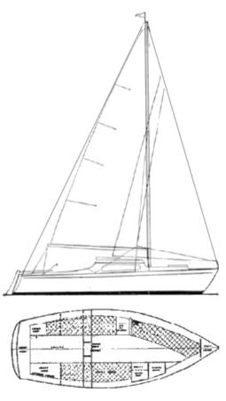 Alacrity 19