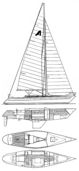 Ansa 42