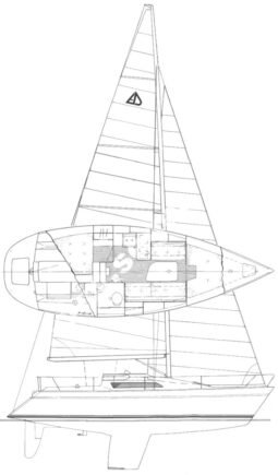 Artina 29