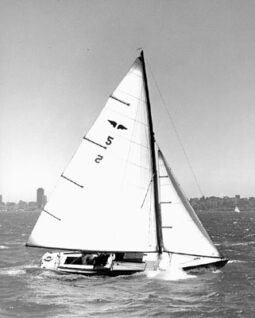 Bird (Sf Bay)