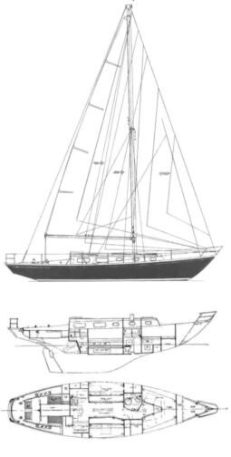 Black Watch 37