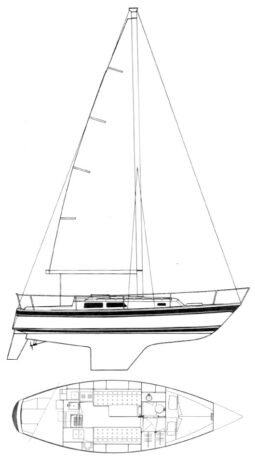 Cal 31