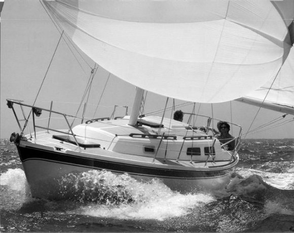 Cal 31