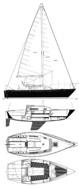 C&C 24
