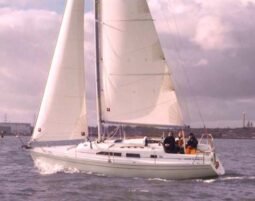 Channel 31 (Hunter)