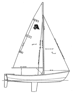 Argie 15