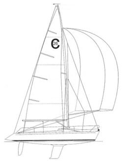 Colgate 26