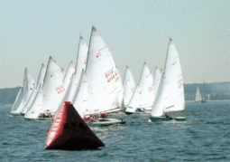 Comet Od (Usa)