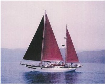 Ct-42 (Mermaid)