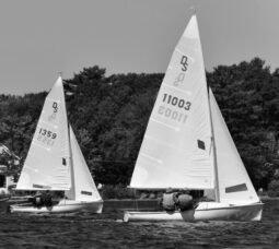 Daysailer