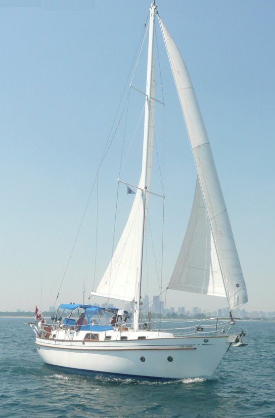 Fantasia 35 (Bingham)