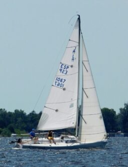 J/80