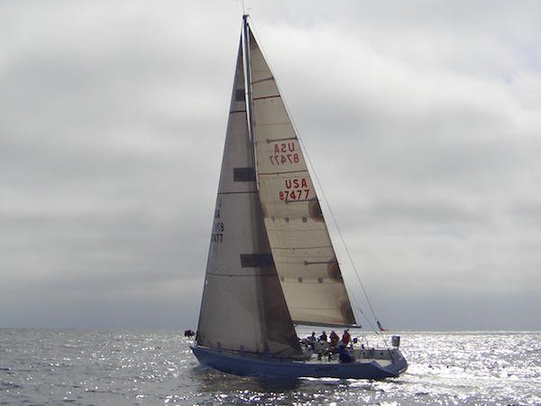 Andrews 43