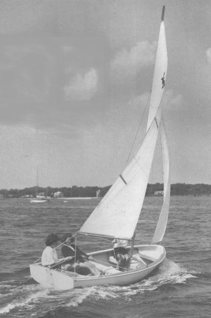 Little Bear (Sailstar)