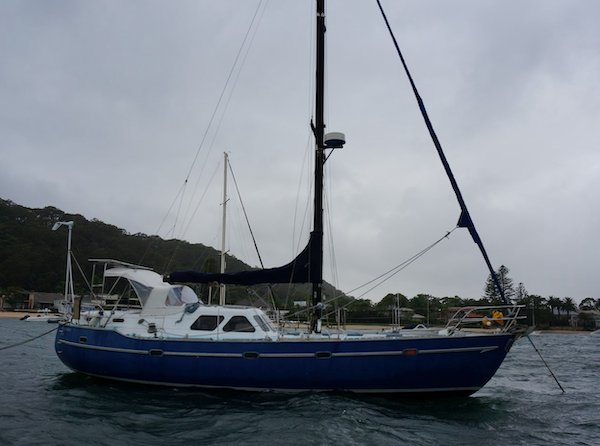 Swanson 42