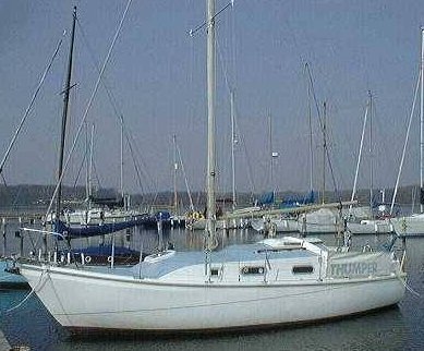 Macwester Rowan 8M