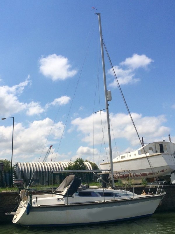 Spirit 26 (Westerly)