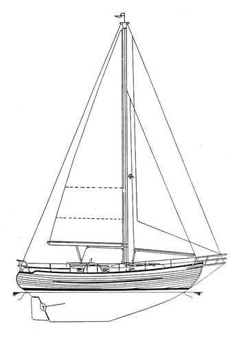 Young Sun 35