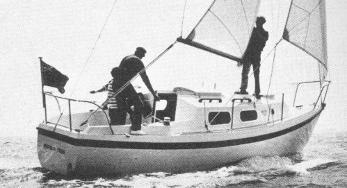Tiger 25 (Westerly)