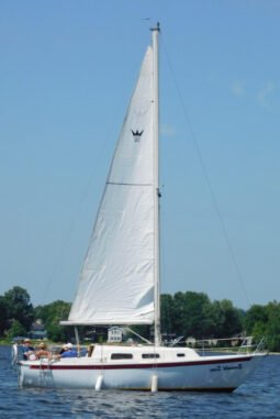 Crown 28
